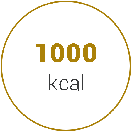 kcal_1000